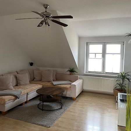 Bambus, Jungle, Dachterrasse & Bequem Bis Zentrum Radebeul Exterior foto