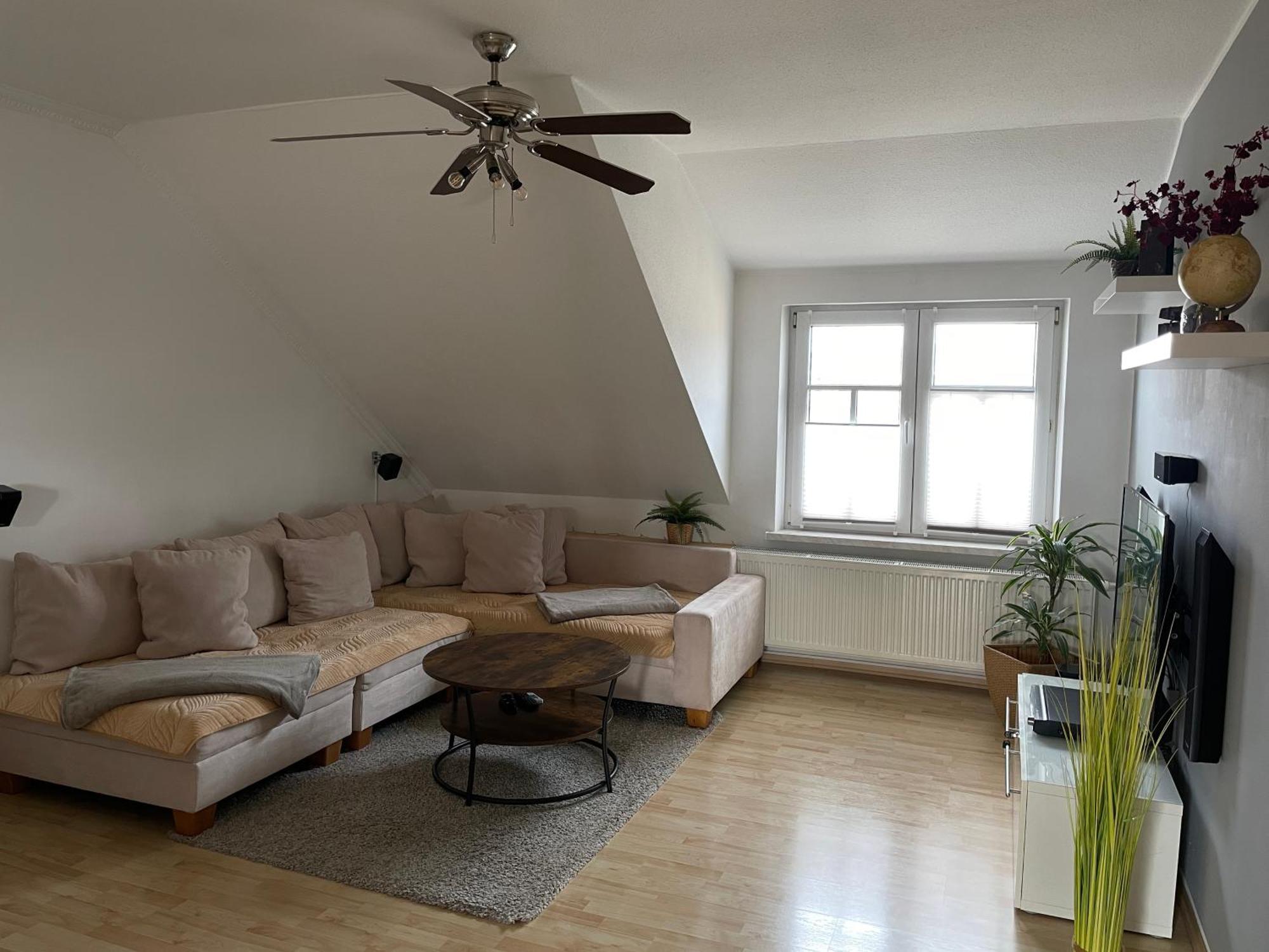 Bambus, Jungle, Dachterrasse & Bequem Bis Zentrum Radebeul Exterior foto